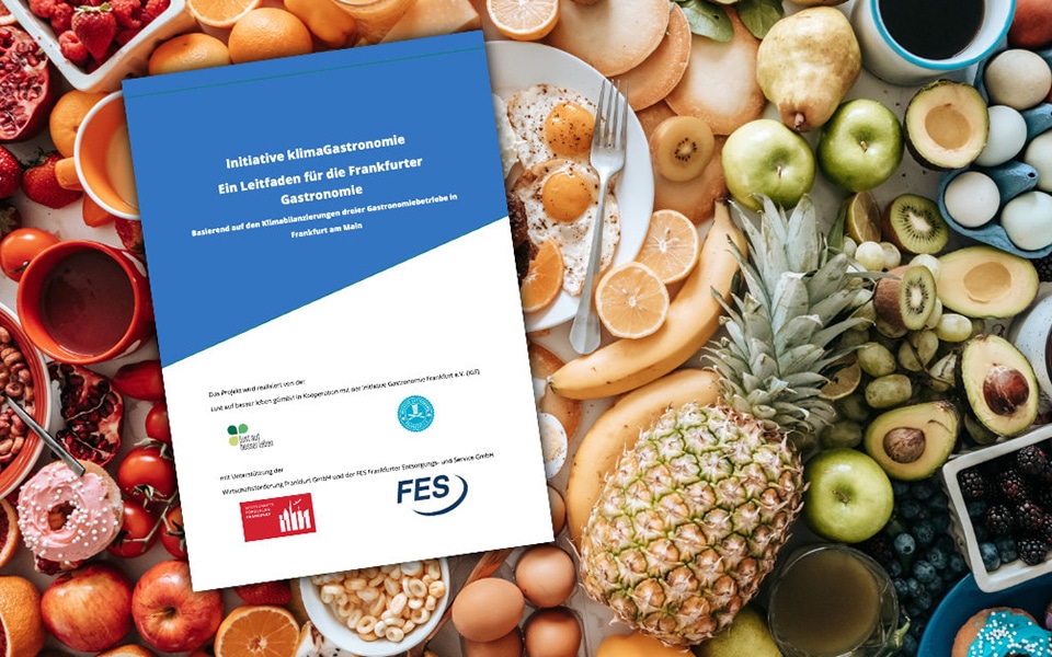 klimafreundliche-kueche-frankfurt