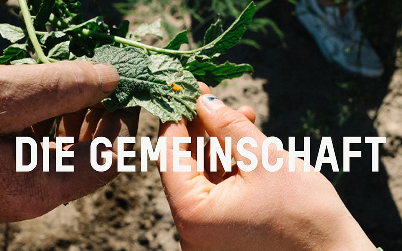 Die Gemeinschaft